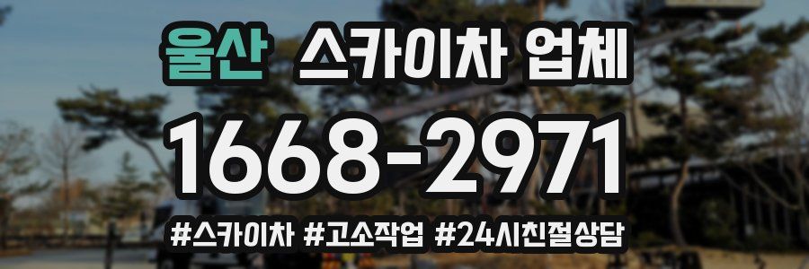 울산 스카이차 업체