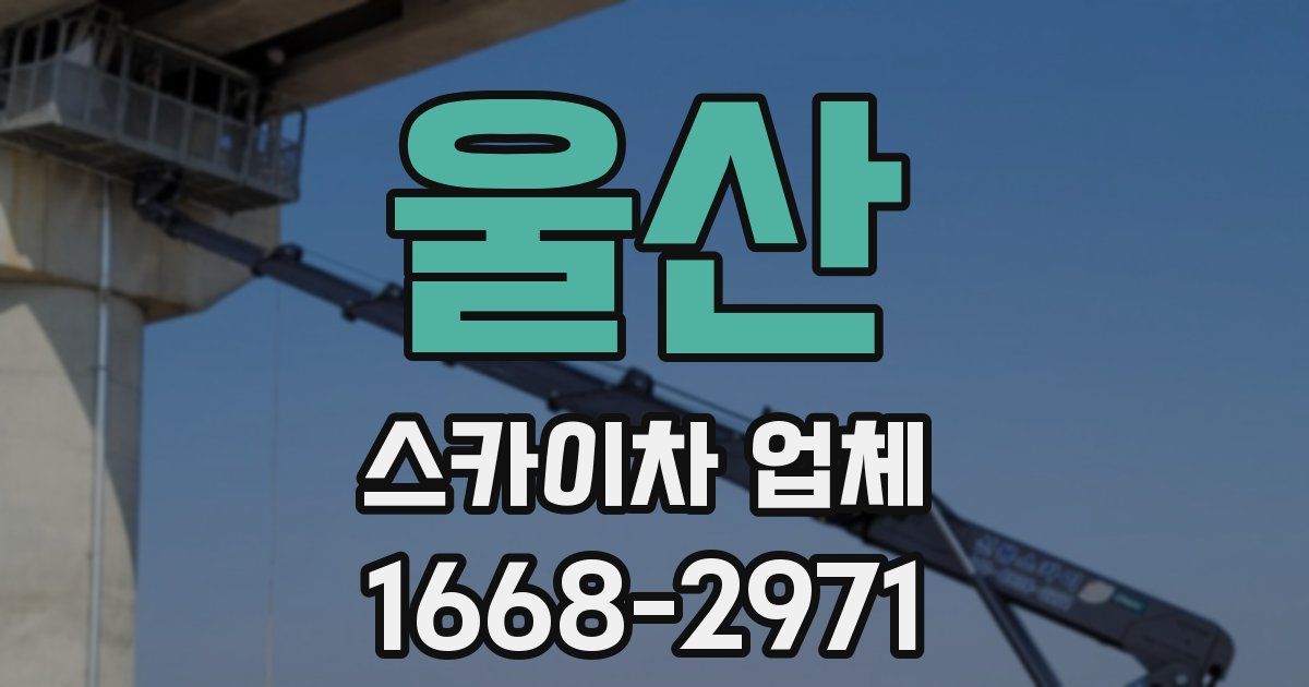 울산 스카이차 업체