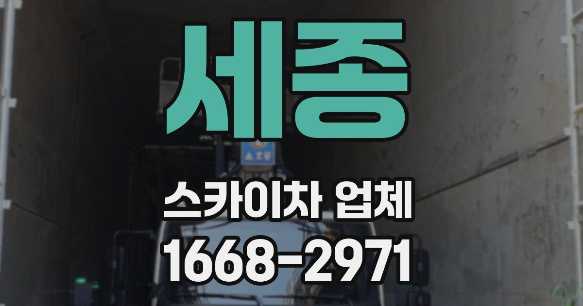 세종 스카이차 업체