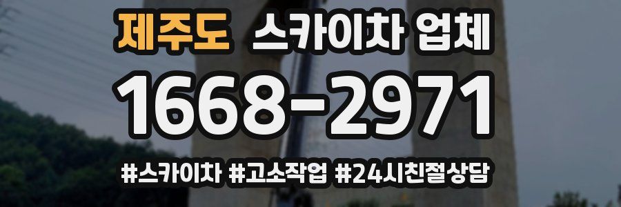 제주도 스카이차 업체