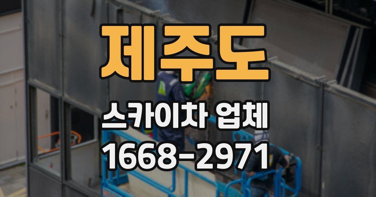 제주도 스카이차 업체