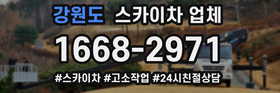 강원도 스카이차 업체