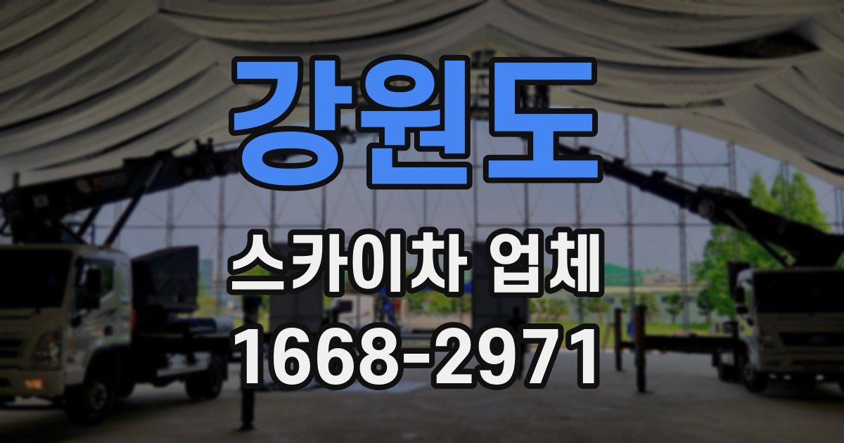 강원도 스카이차 업체