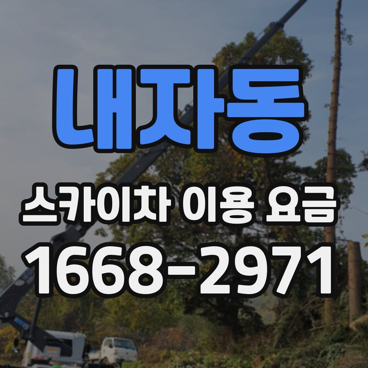 내자동 스카이차 이용 요금