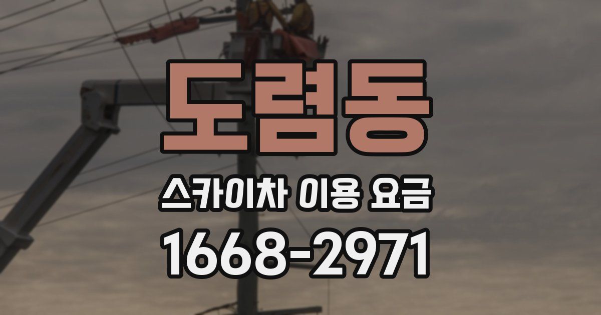 도렴동 스카이차 이용 요금