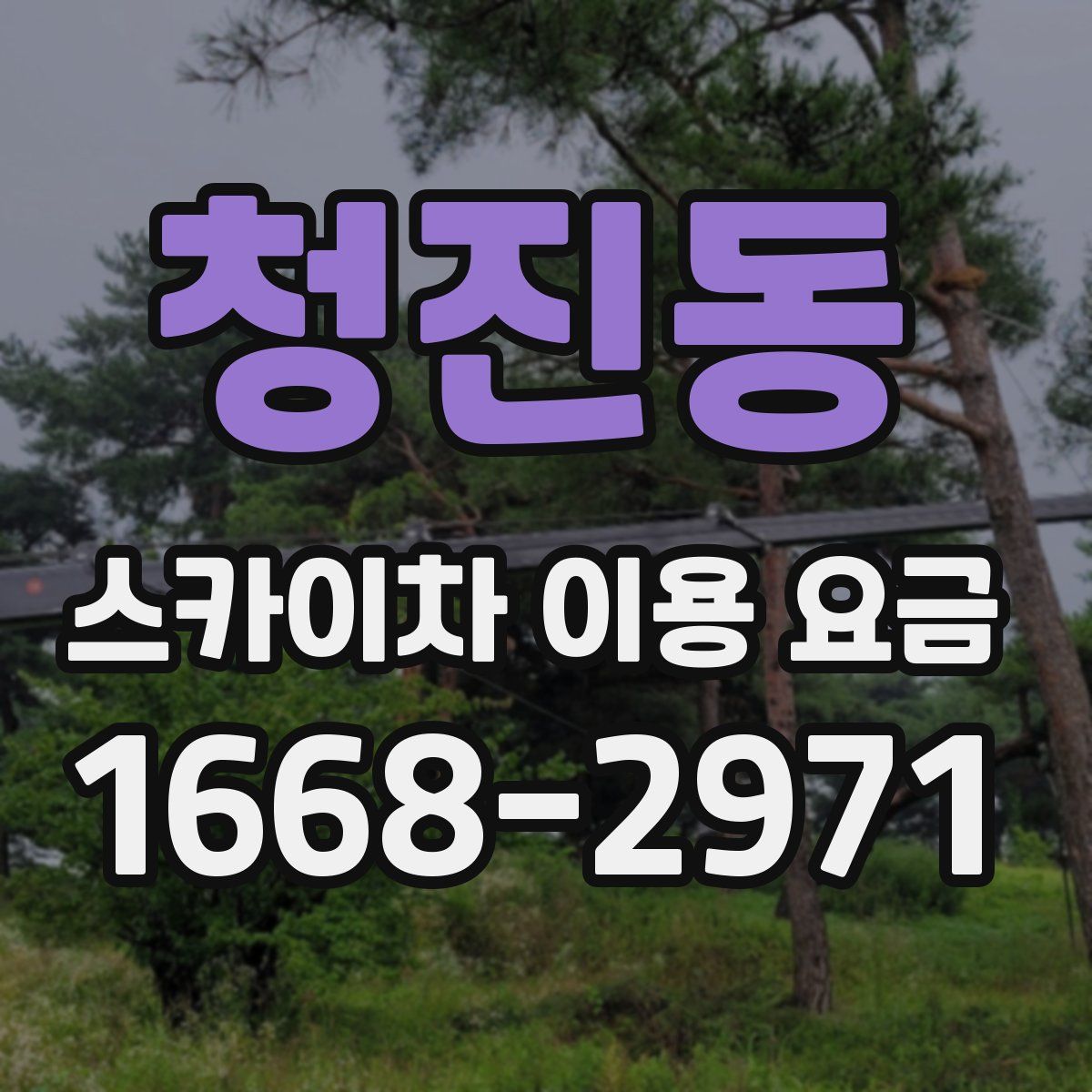 청진동 스카이차 이용 요금
