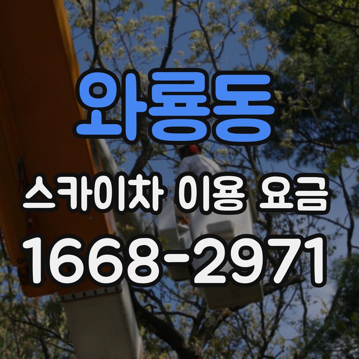 와룡동 스카이차 이용 요금