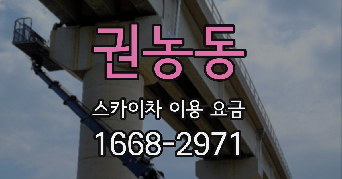 권농동 스카이차 이용 요금