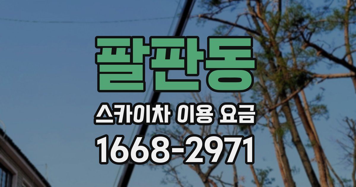 팔판동 스카이차 이용 요금