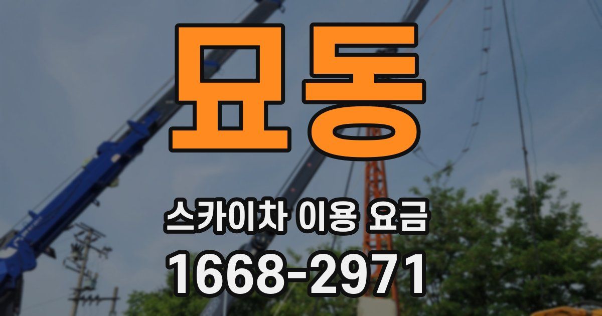 묘동 스카이차 이용 요금