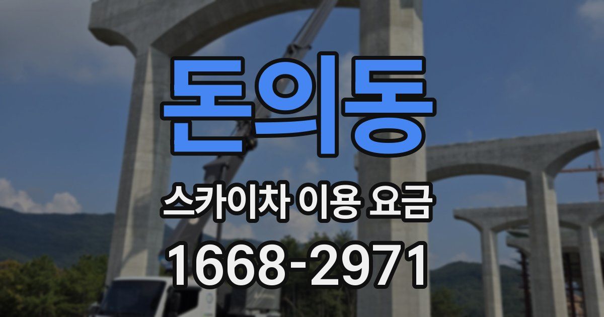 돈의동 스카이차 이용 요금