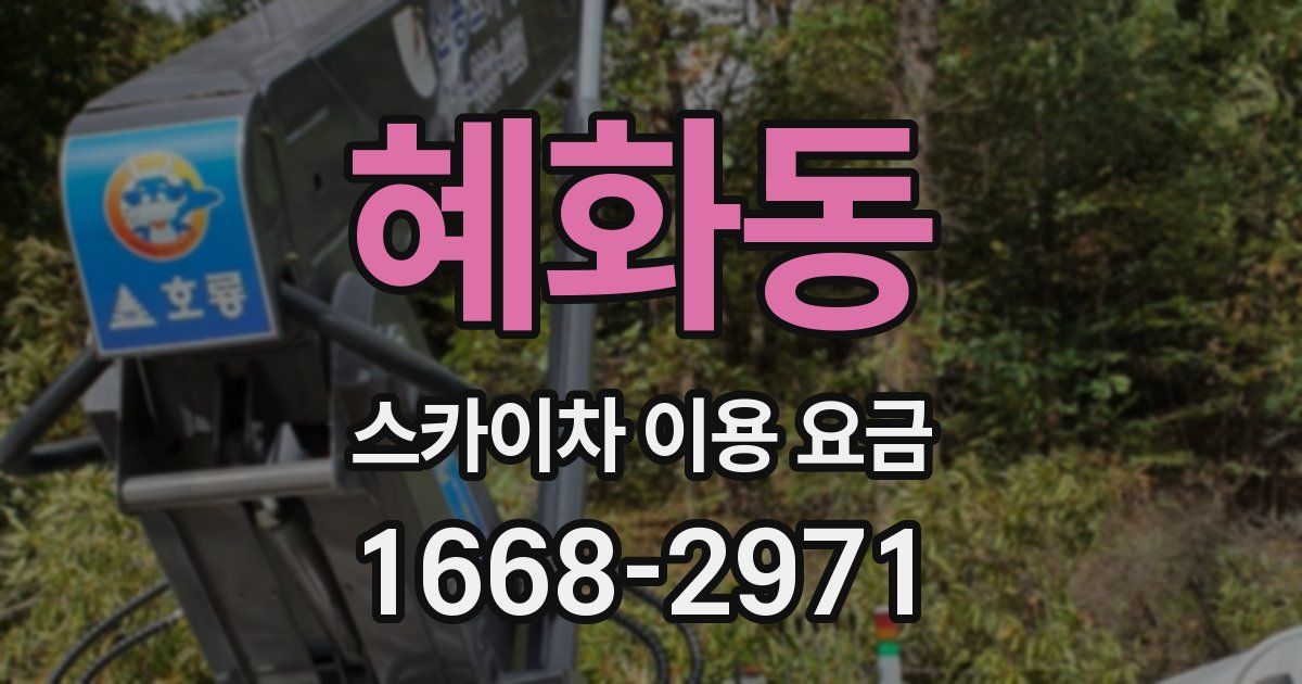 혜화동 스카이차 이용 요금