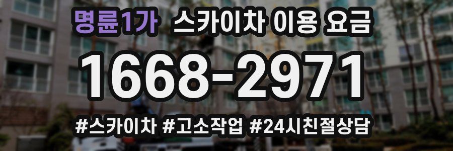 명륜1가 스카이차 이용 요금