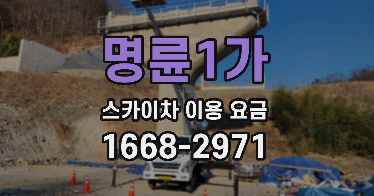 명륜1가 스카이차 이용 요금