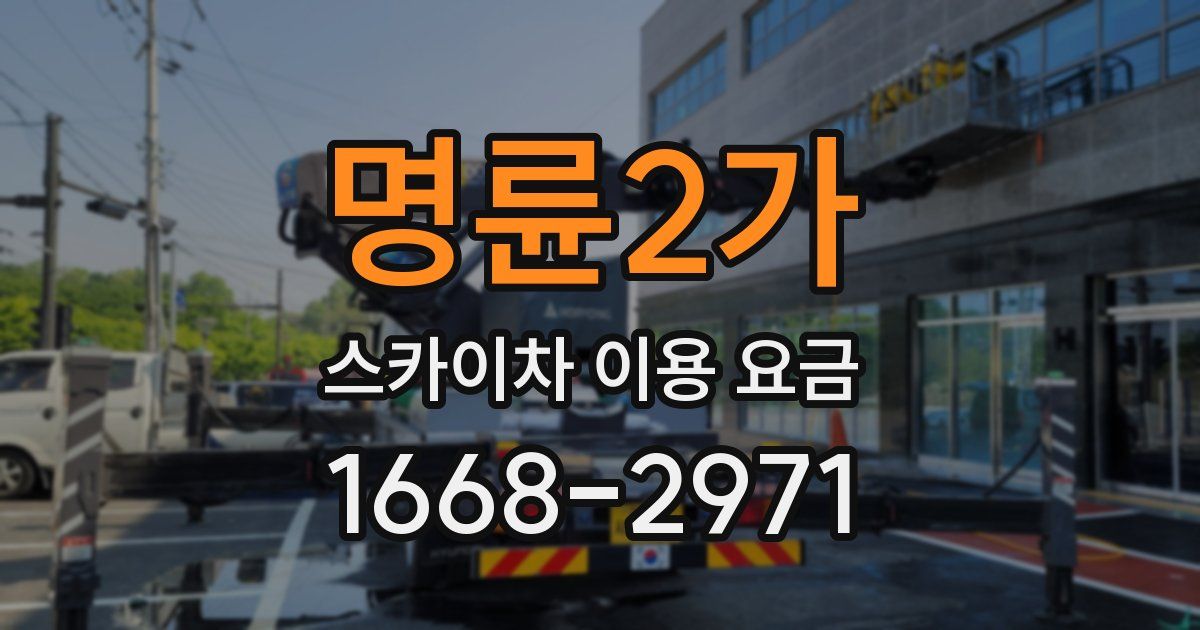 명륜2가 스카이차 이용 요금