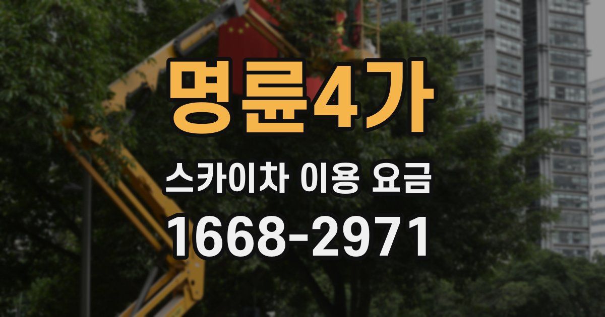 명륜4가 스카이차 이용 요금