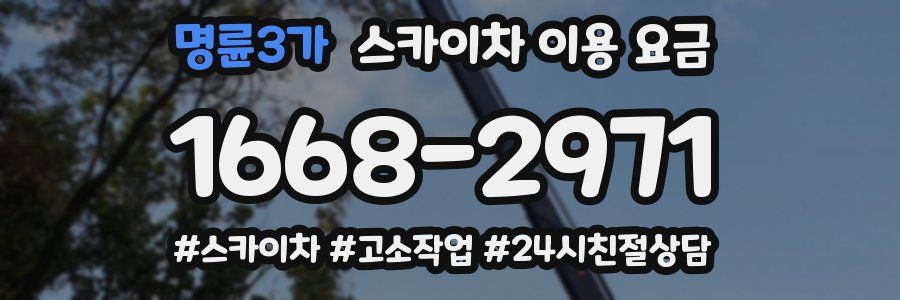 명륜3가 스카이차 이용 요금