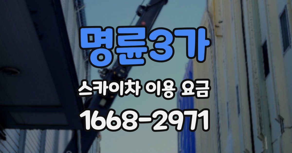 명륜3가 스카이차 이용 요금