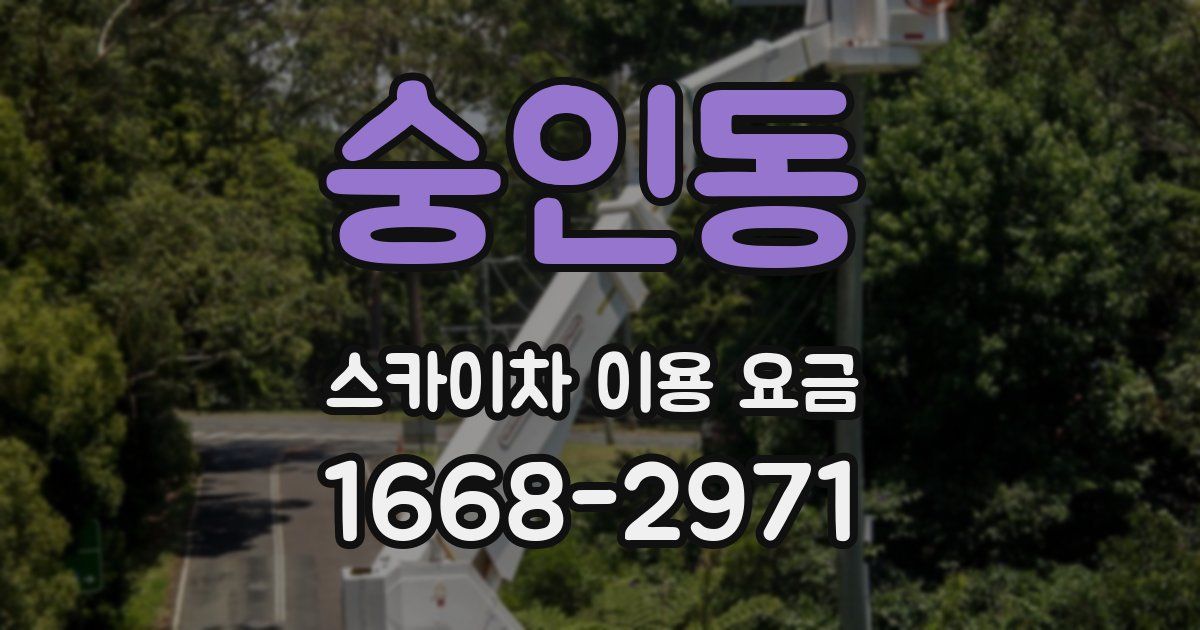 숭인동 스카이차 이용 요금