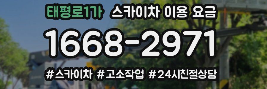 태평로1가 스카이차 이용 요금