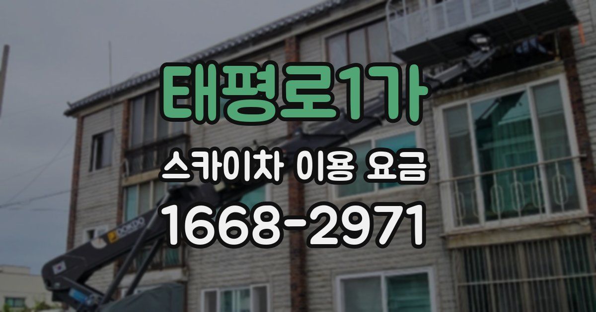 태평로1가 스카이차 이용 요금