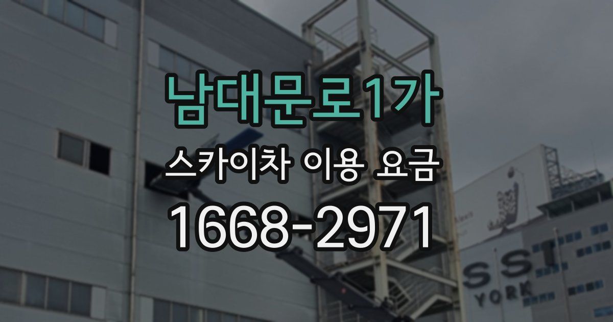 남대문로1가 스카이차 이용 요금