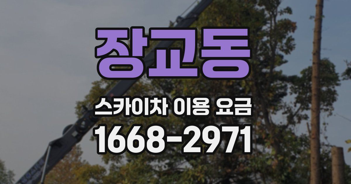 장교동 스카이차 이용 요금