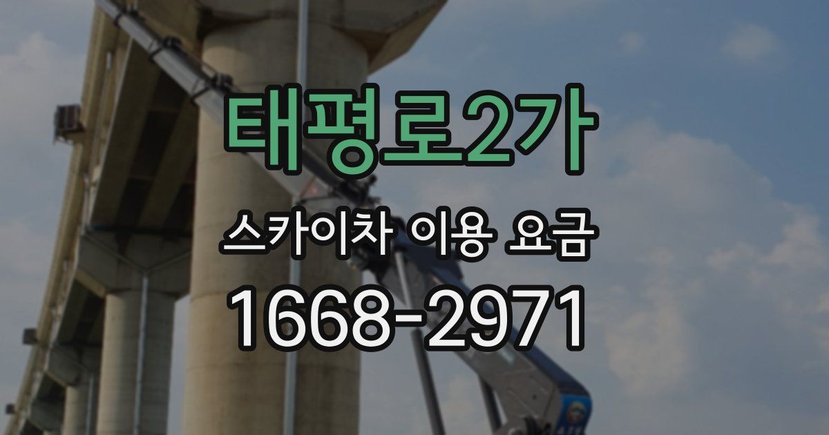 태평로2가 스카이차 이용 요금
