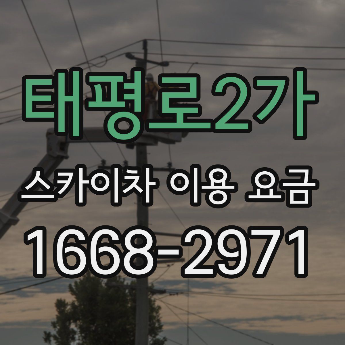 태평로2가 스카이차 이용 요금