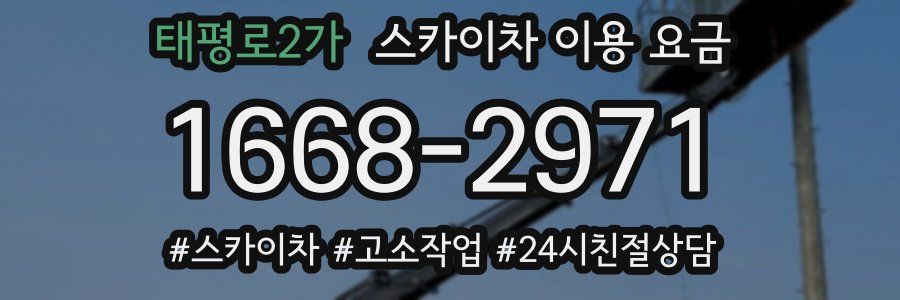 태평로2가 스카이차 이용 요금