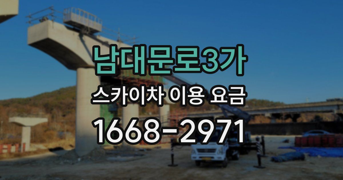 남대문로3가 스카이차 이용 요금