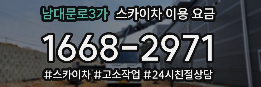 남대문로3가 스카이차 이용 요금