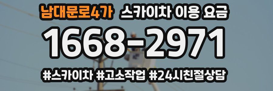 남대문로4가 스카이차 이용 요금