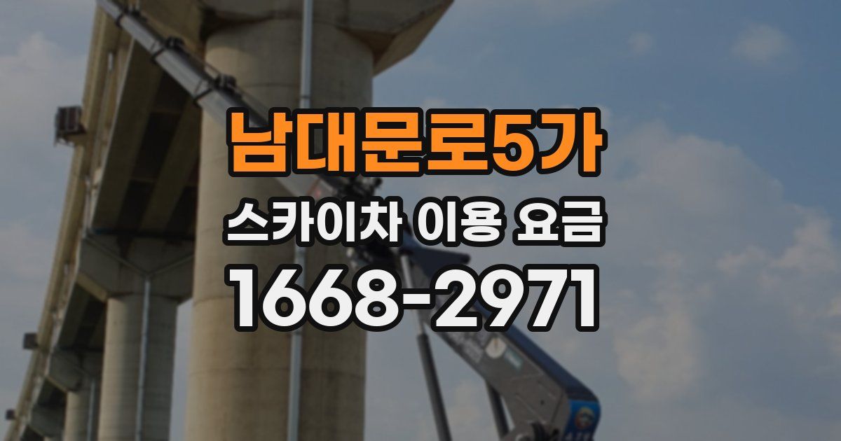 남대문로5가 스카이차 이용 요금