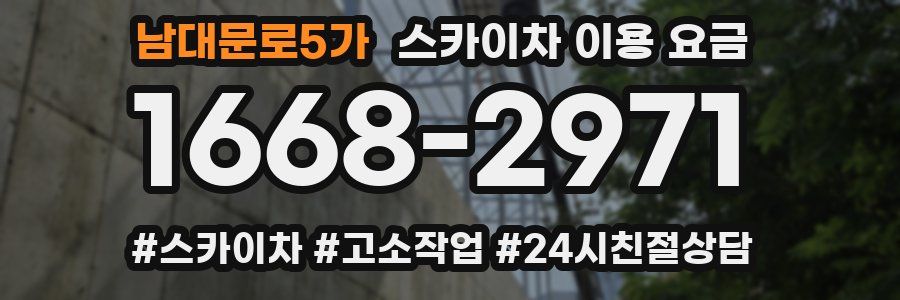 남대문로5가 스카이차 이용 요금
