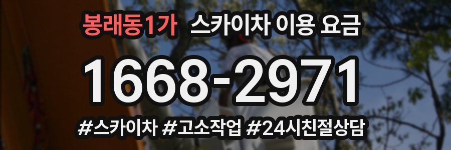 봉래동1가 스카이차 이용 요금