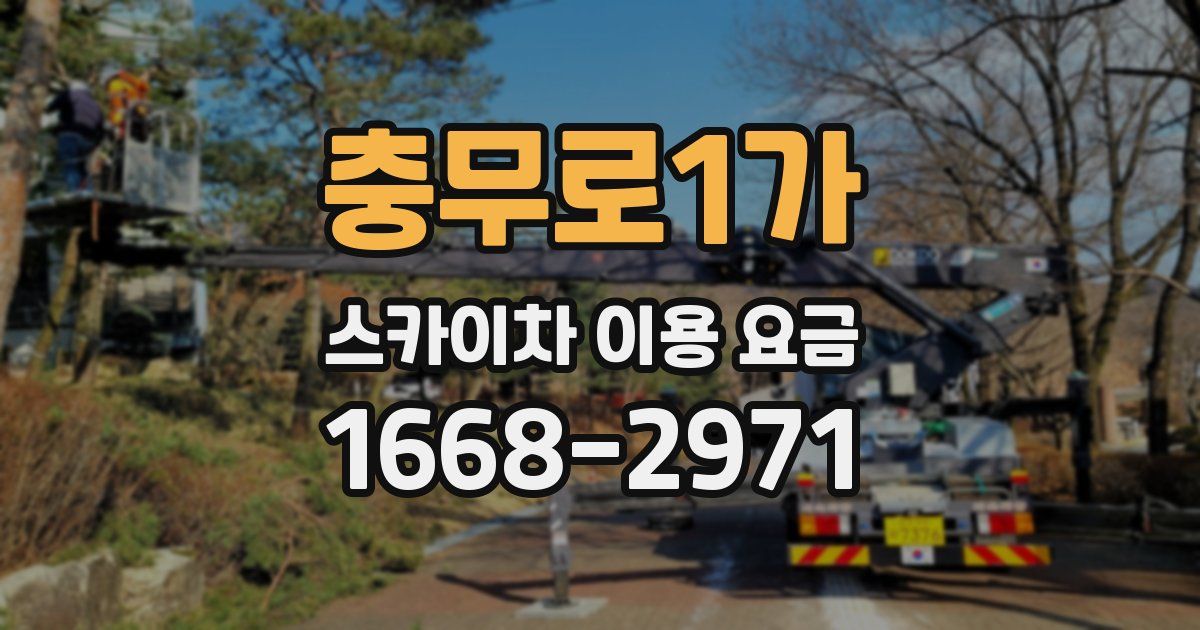 충무로1가 스카이차 이용 요금