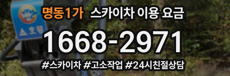 명동1가 스카이차 이용 요금