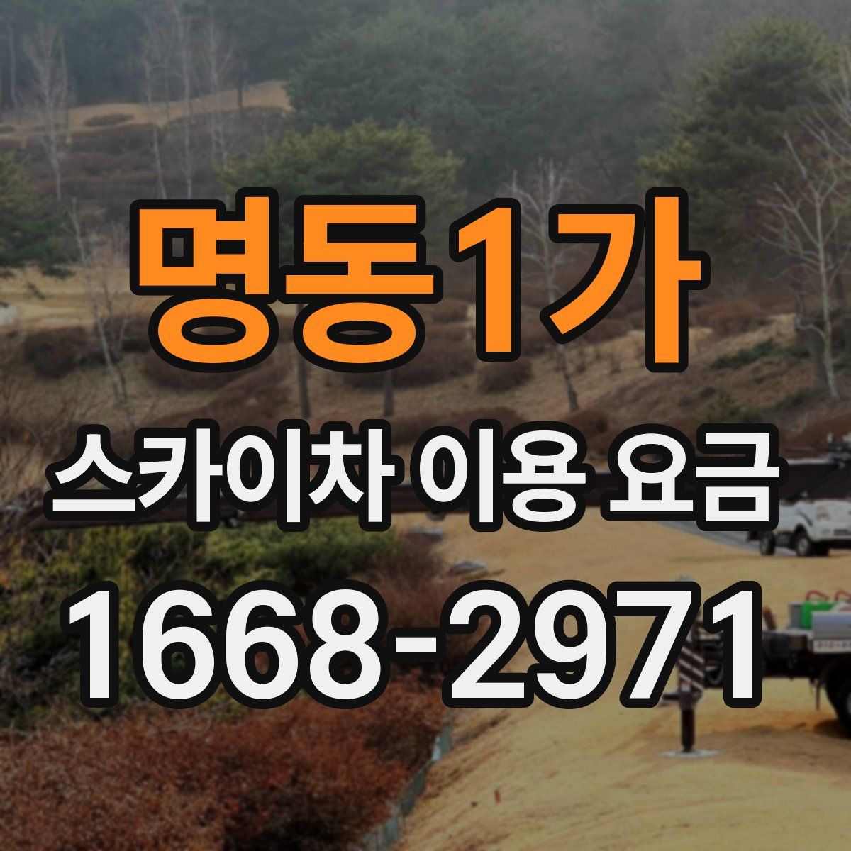 명동1가 스카이차 이용 요금