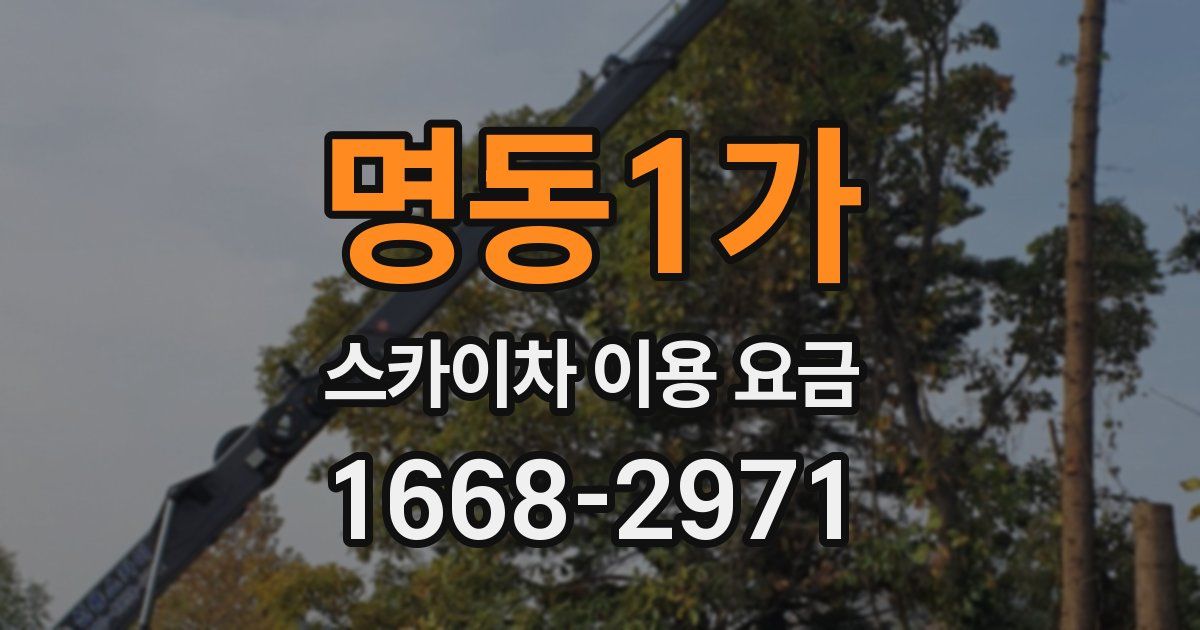 명동1가 스카이차 이용 요금