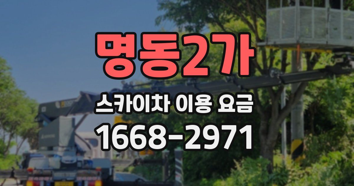 명동2가 스카이차 이용 요금
