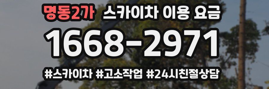 명동2가 스카이차 이용 요금