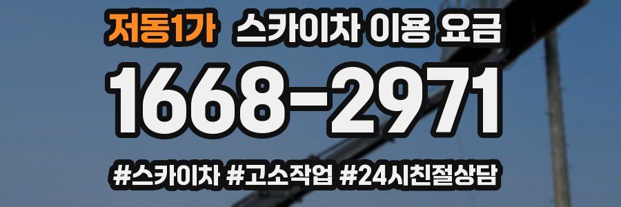 저동1가 스카이차 이용 요금