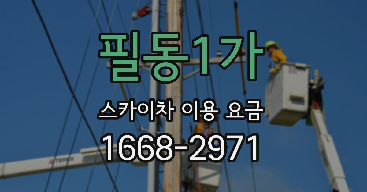 필동1가 스카이차 이용 요금