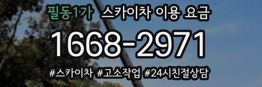 필동1가 스카이차 이용 요금