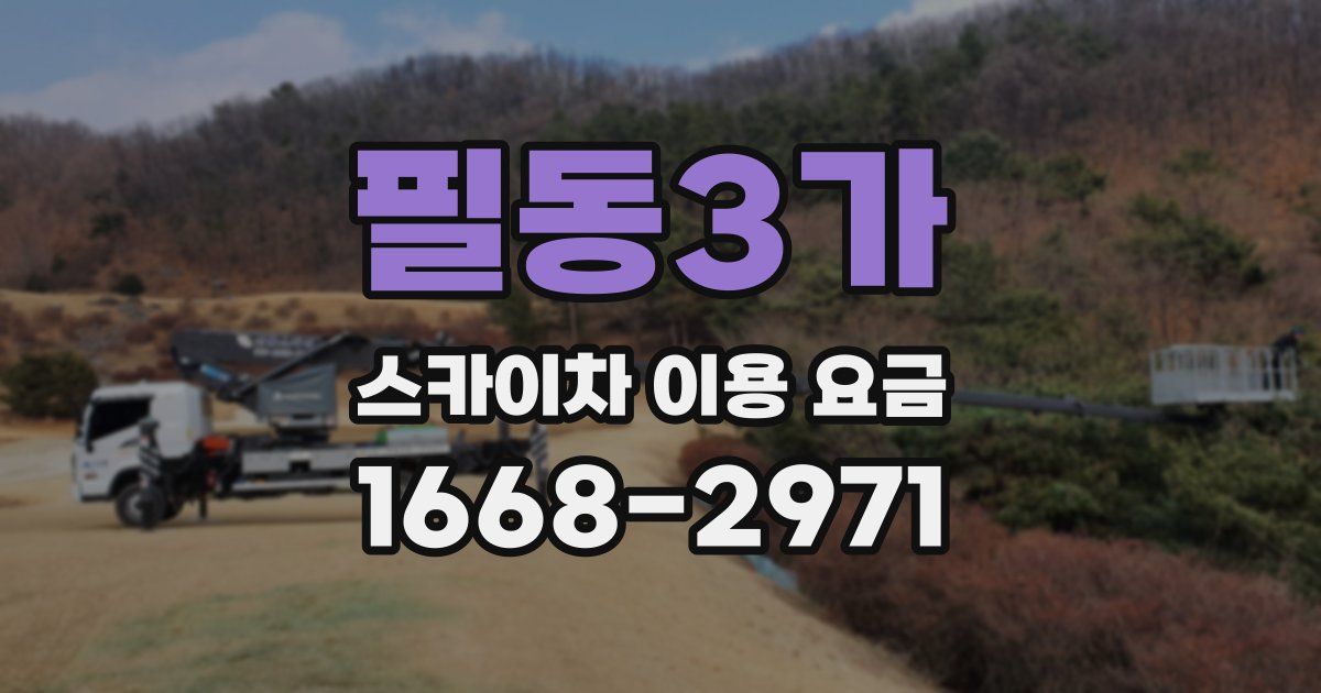 필동3가 스카이차 이용 요금
