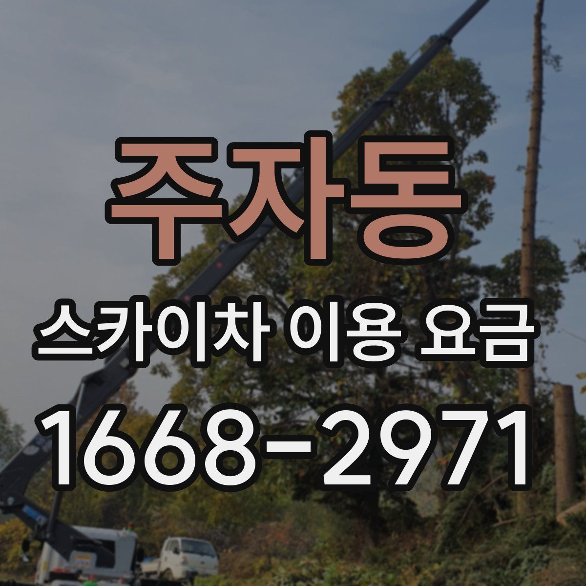 주자동 스카이차 이용 요금