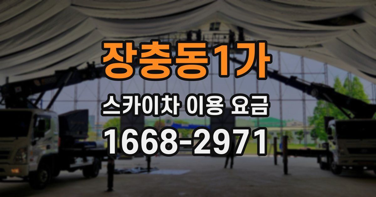 장충동1가 스카이차 이용 요금