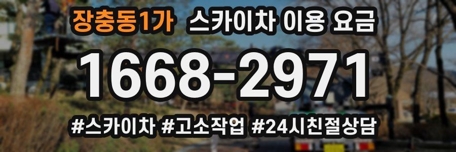 장충동1가 스카이차 이용 요금