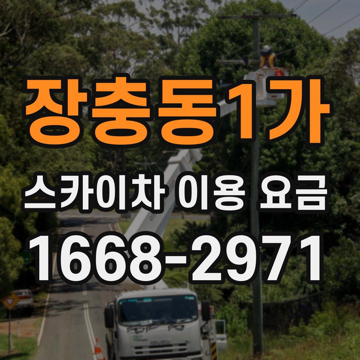 장충동1가 스카이차 이용 요금